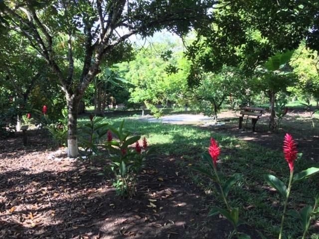 Hospedaje En El Lago San Pedro Sula Eksteriør bilde